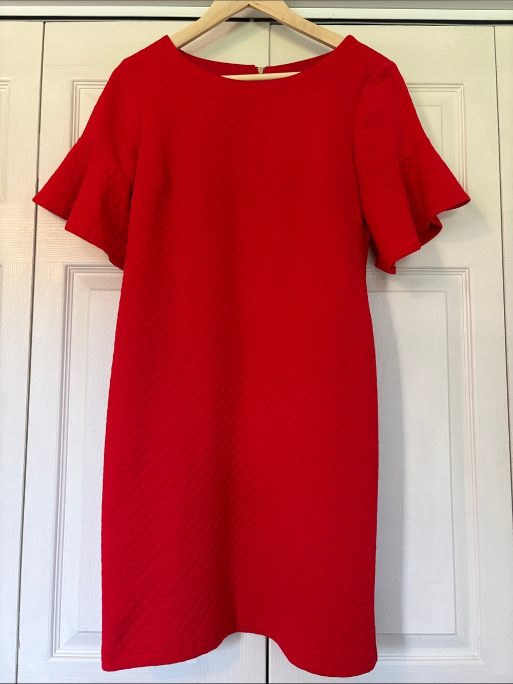 Sandra Darren Dress